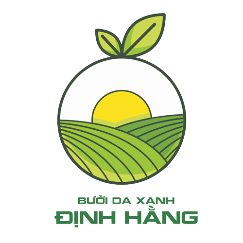 Bưởi Da Xanh Định Hằng